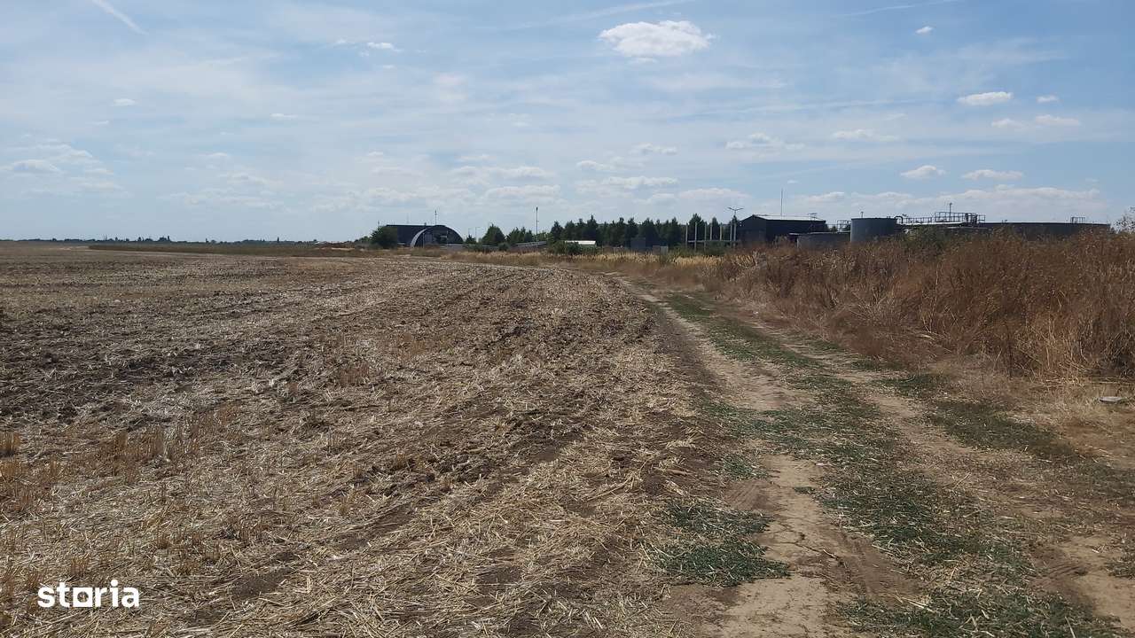 Teren 280000mp Balotesti acces din DN1 , Soseaua Unirii si A0 - Imagine principală: 3/3