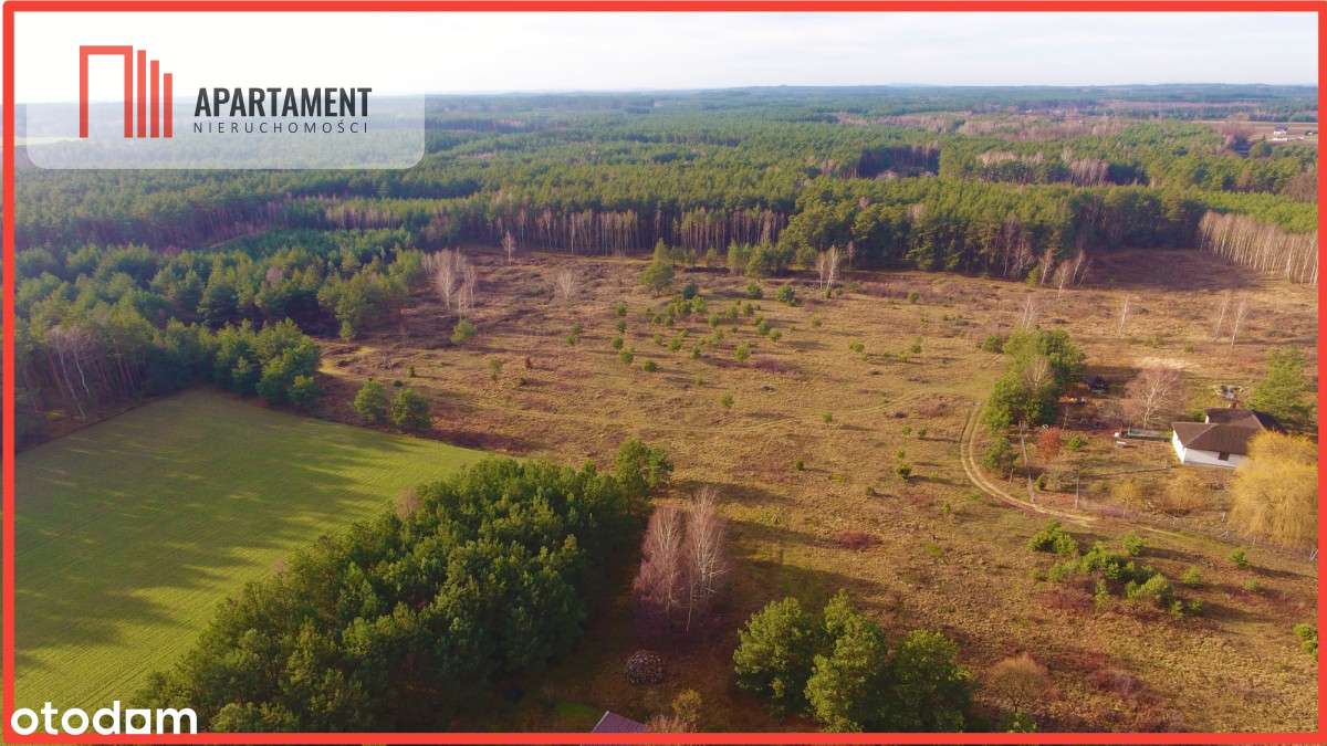 Godzimierz działka z warunkami zabudowy - Pełny obrazek: 4/14