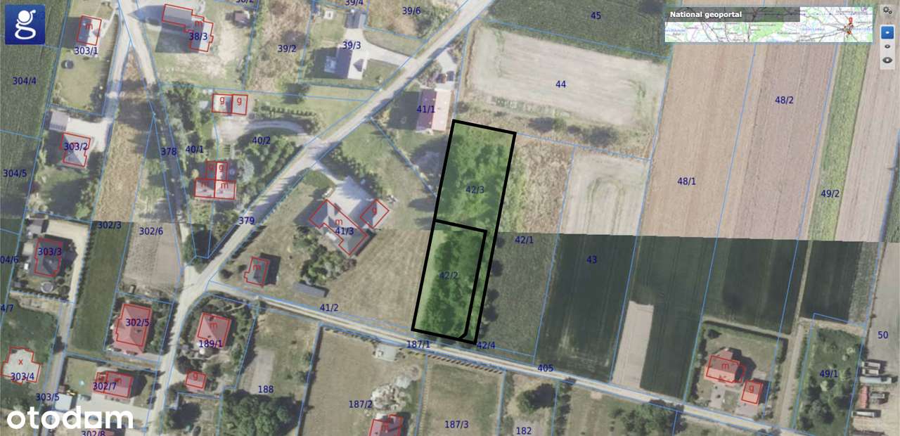 Działki na sprzedaż Piotrkowiczki, gm. Wisznia Mała – 2411 m²-2