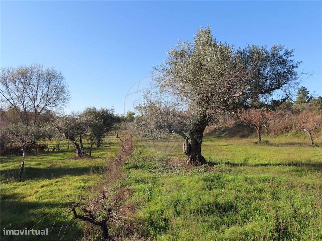 Quinta  para venda - Grande imagem: 5/35