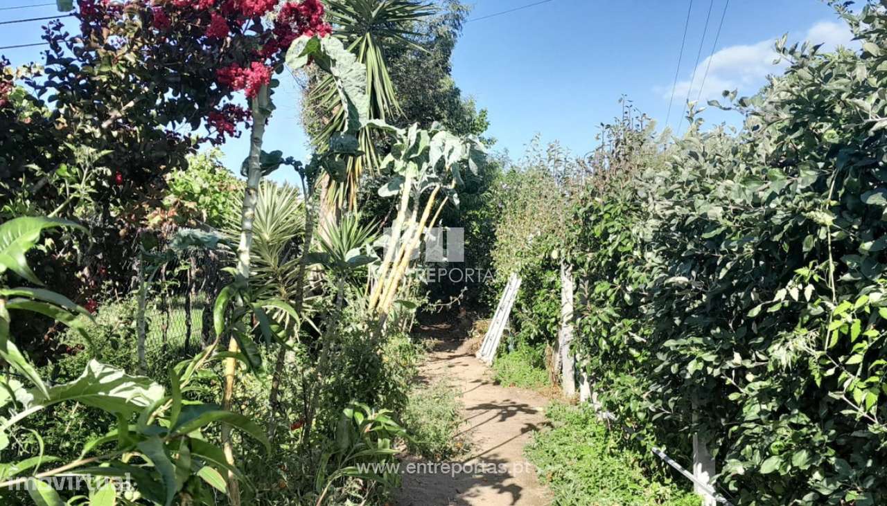 Venda de Terreno para construção, Meadela, Viana do Castelo - Grande imagem: 2/26
