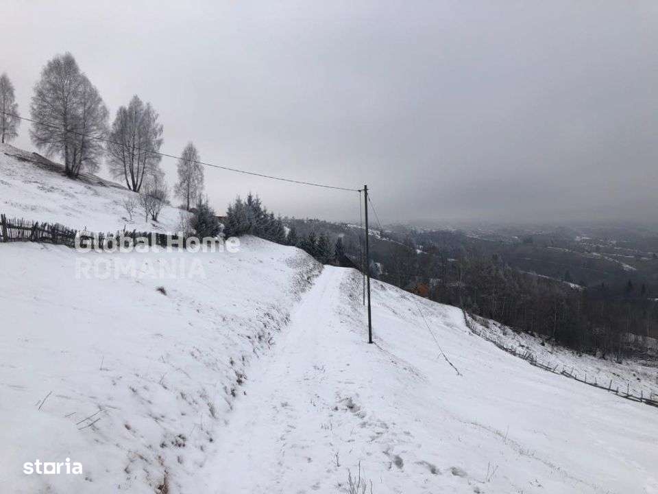 Teren 725 MP | Moieciu de Jos | Piatra Craiului | Oportunitate de inve - Imagine principală: 3/8