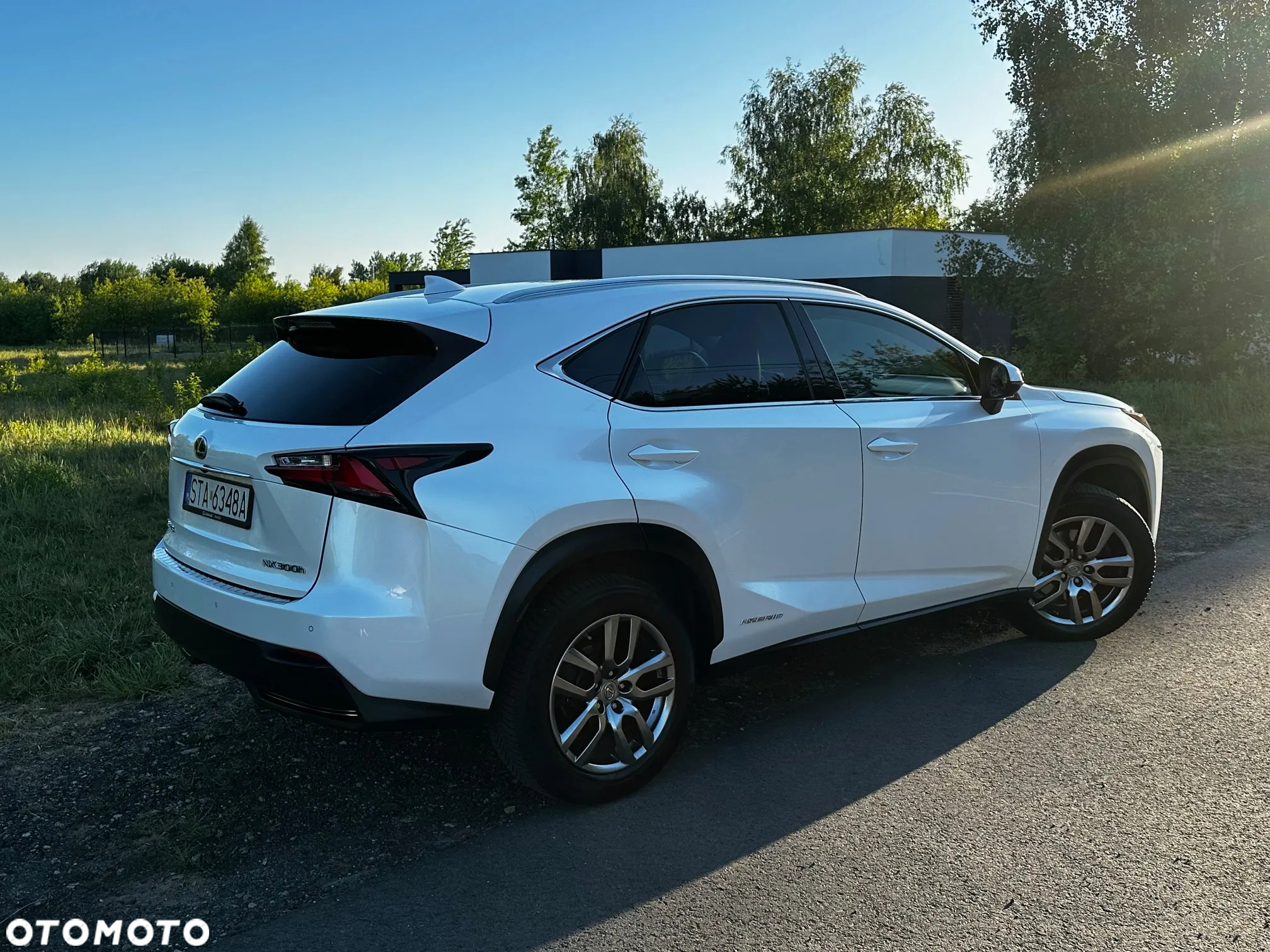 Lexus NX - 7