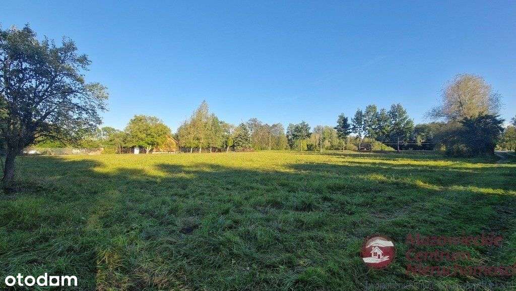 Duża działka budowlana z możliwością podziału - Pełny obrazek: 5/8