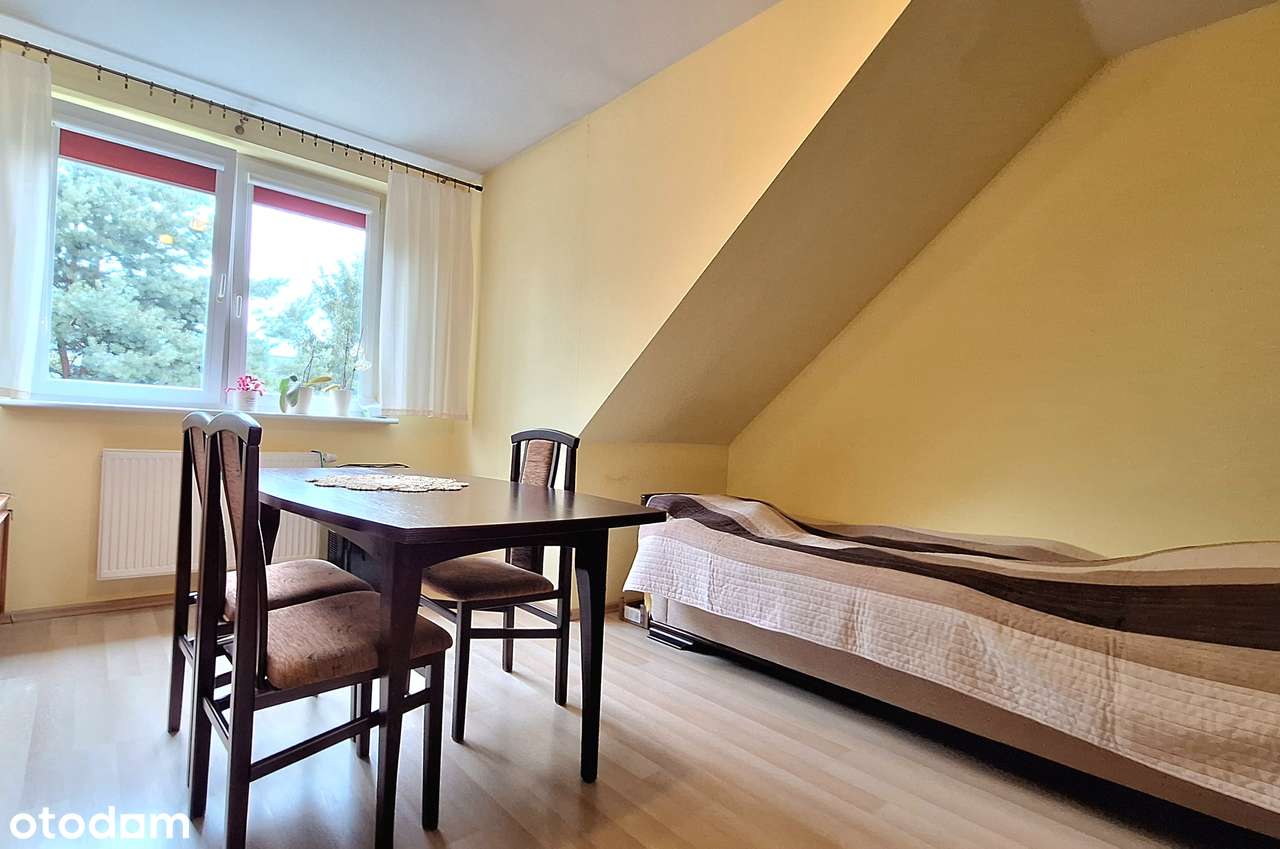 Zabobrze, garaż, ogród - Pełny obrazek: 4/11