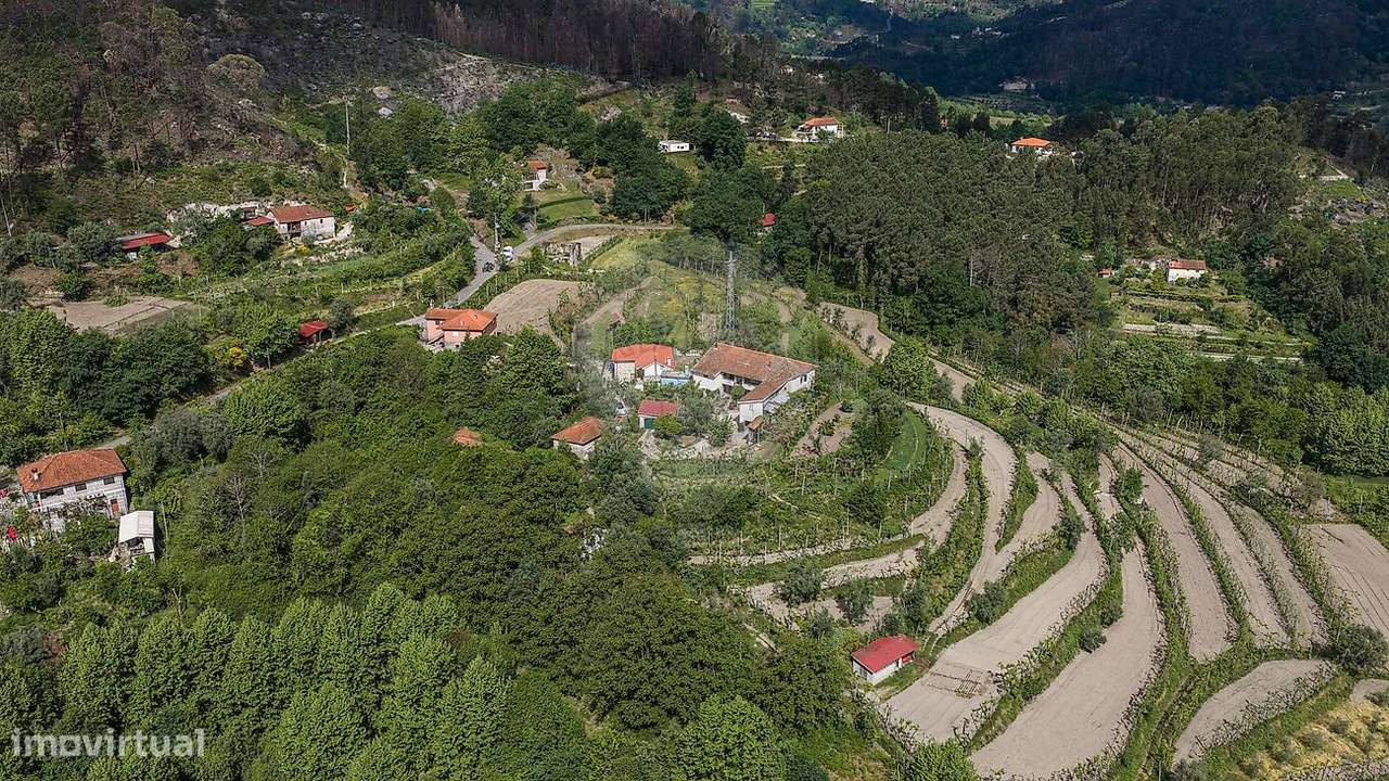 Quinta T4 para venda-38