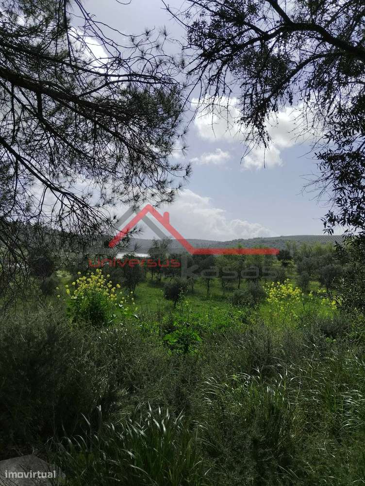 Quintinha Rural com vista rio Guadiana Beja - Grande imagem: 4/25