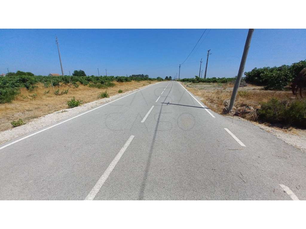 Herdade vinhateira próxima de Setúbal-28