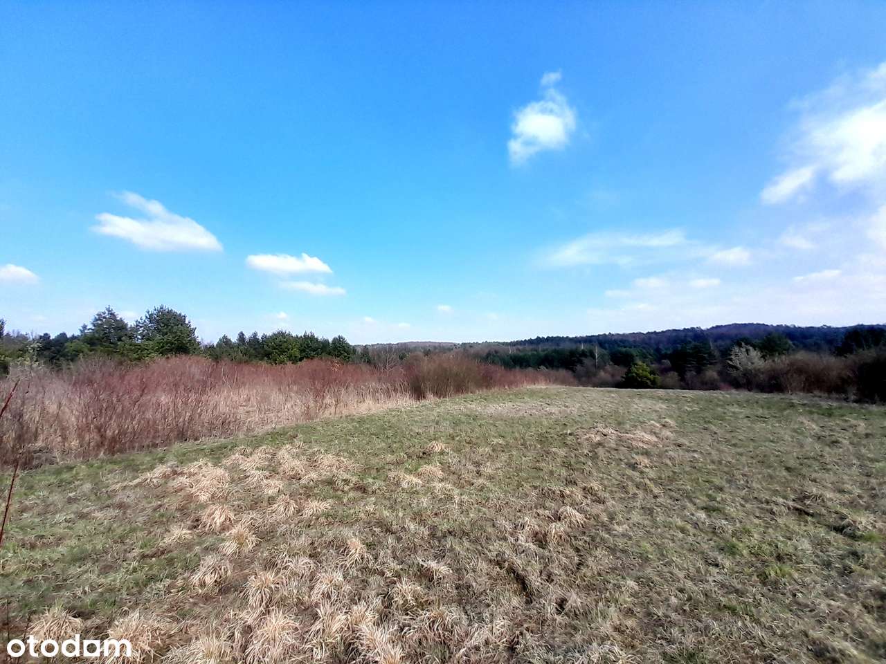 Sprzedam dużą działkę z warunkami zabudowy - Płaza ul. Kossaka-4