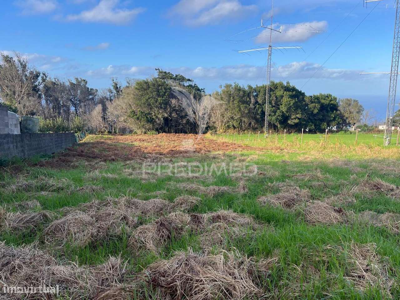 PALHEIRO E TERRENO (1.300M2) SANTA PORTO MONIZ - Grande imagem: 4/5