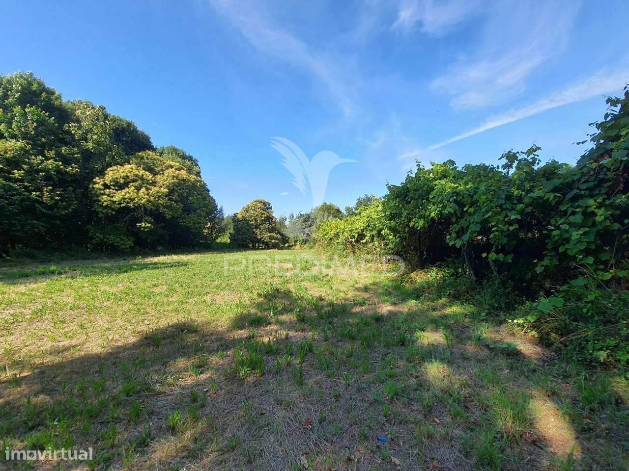 Quintinha - Construa a moradia dos seus sonhos - Grande imagem: 5/6