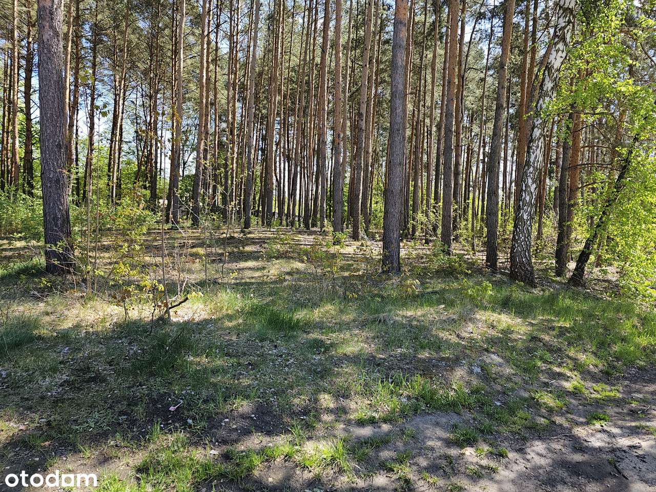 Konstancin piękna działka 2560 m2 w cichym miejscu