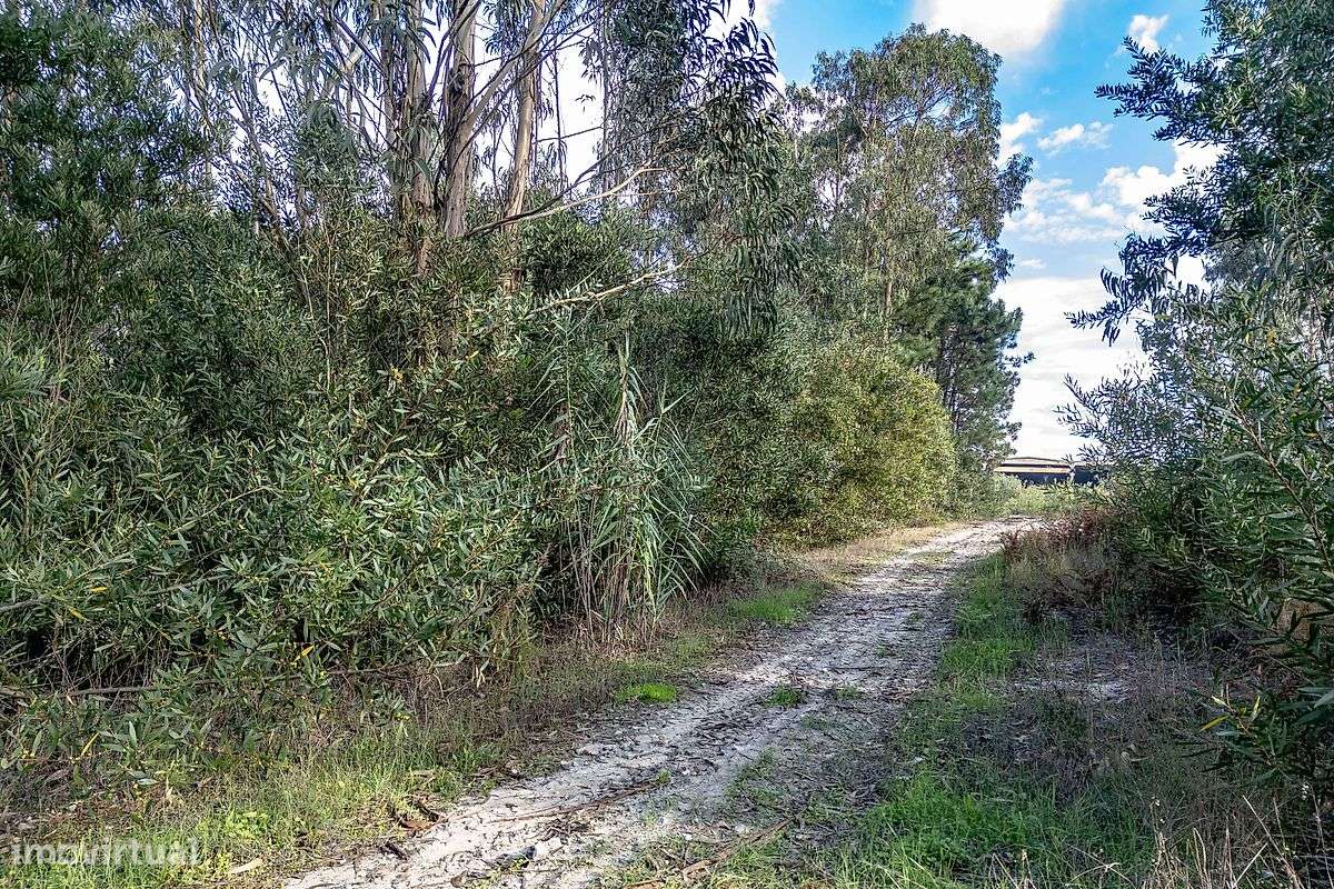 Terreno  para venda - Grande imagem: 4/5