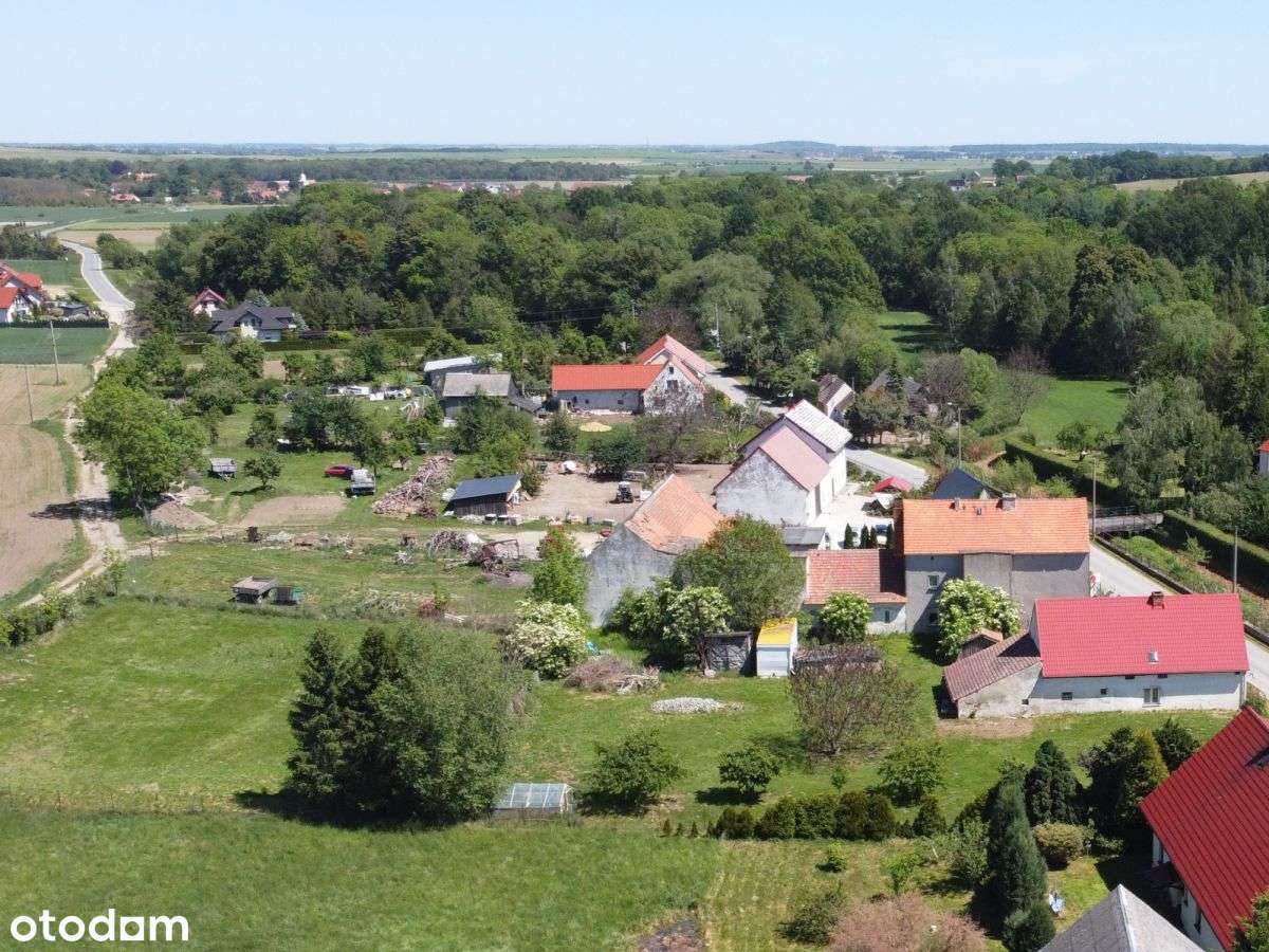 Dom do generalnego remontu z dużą działką-3