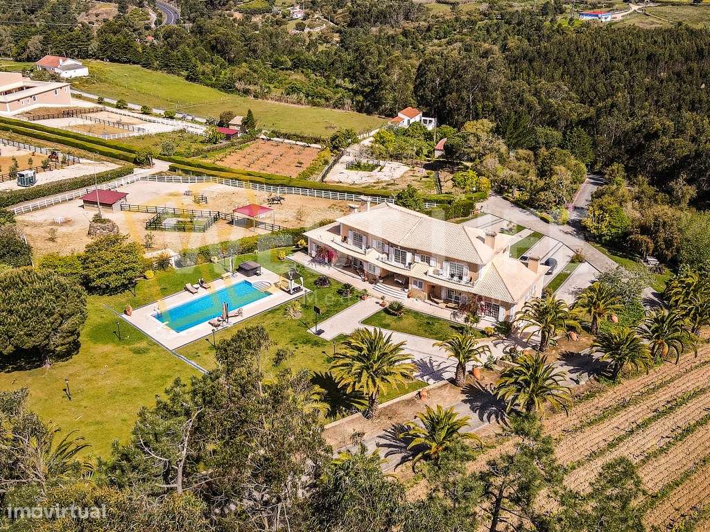 Herdade 'Quinta de São José' - Tipologia T7 com escola de equitação... - Grande imagem: 3/46