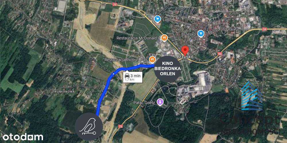 Jasień,  działka 81 ar z WZ na 9 domów!-12