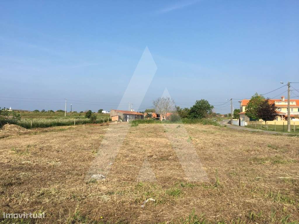 Terreno contrução de moradias, situado na Costa do Valado, Oliveirinha - Grande imagem: 4/7