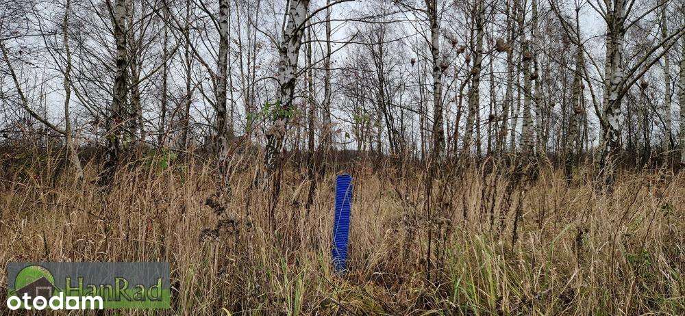 budownictwo mieszkaniowe - Sady - Mn1 - Pełny obrazek: 3/9