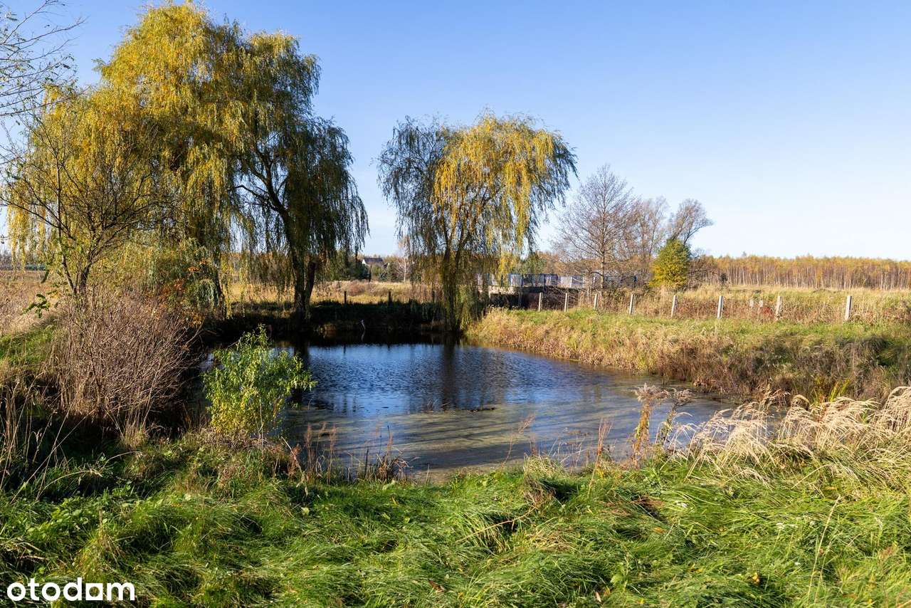 Dom z własnym stawem-15