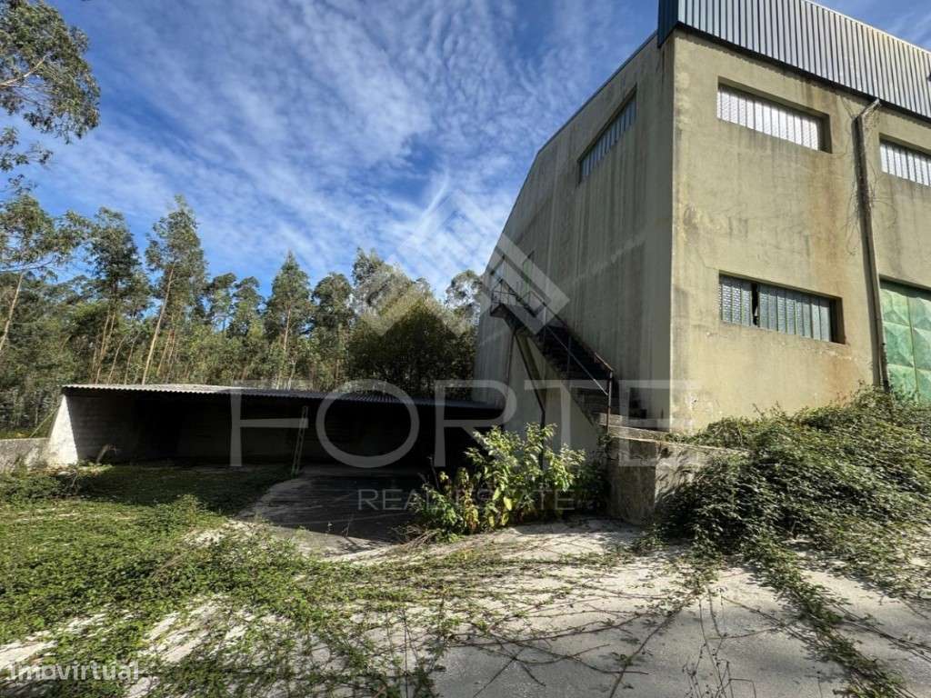 Armazém em São Martinho da Gândara-14