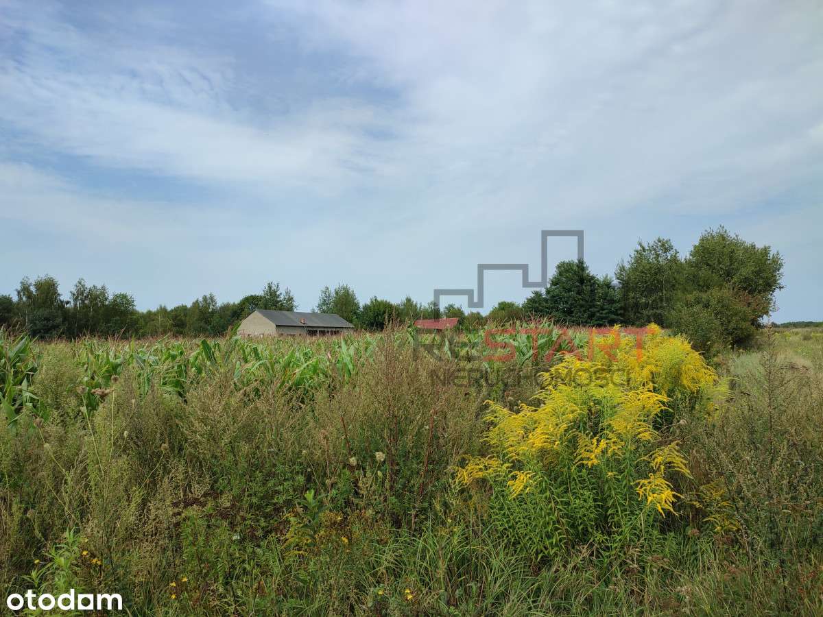 Na sprzedaż – działka siedliskowa 6,73 ha - Pełny obrazek: 3/9