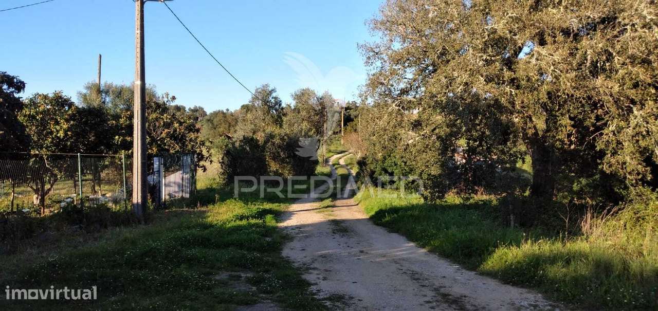 Monte Alentejano com 3 habitações e Piscina, Santa Cruz, Santiago d... - Grande imagem: 5/17