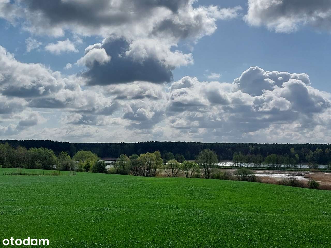 Działka Skoki WYPRZEDAŻ CENY Z VAT23% - Pełny obrazek: 4/5