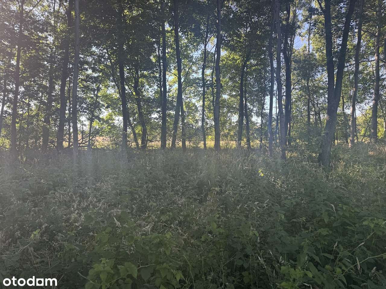 blisko jezioro i plaża zagospodarowana-3