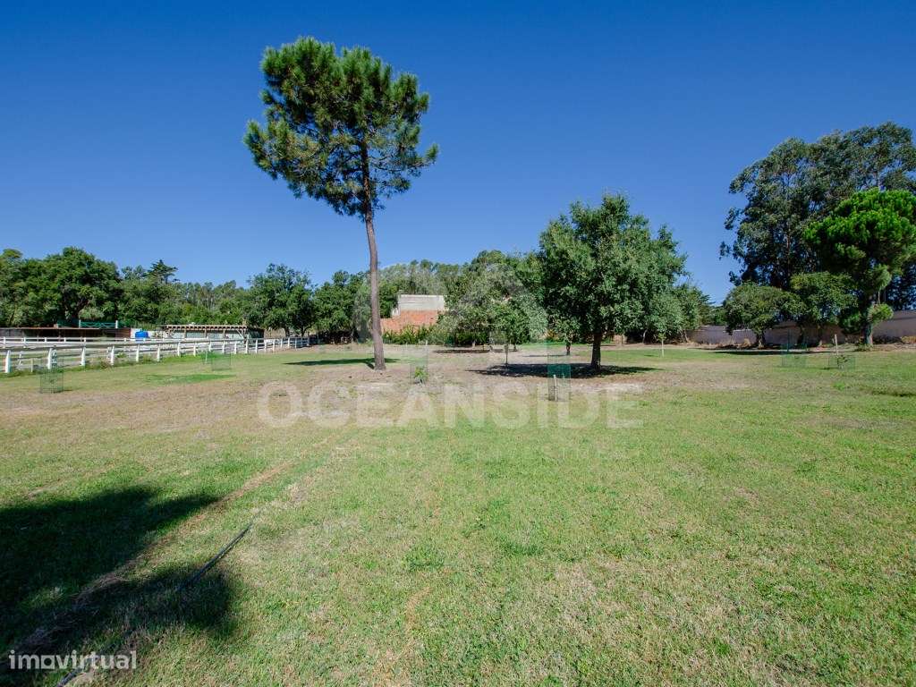 Quinta em Serradas, com terreno de 17.000m²-35