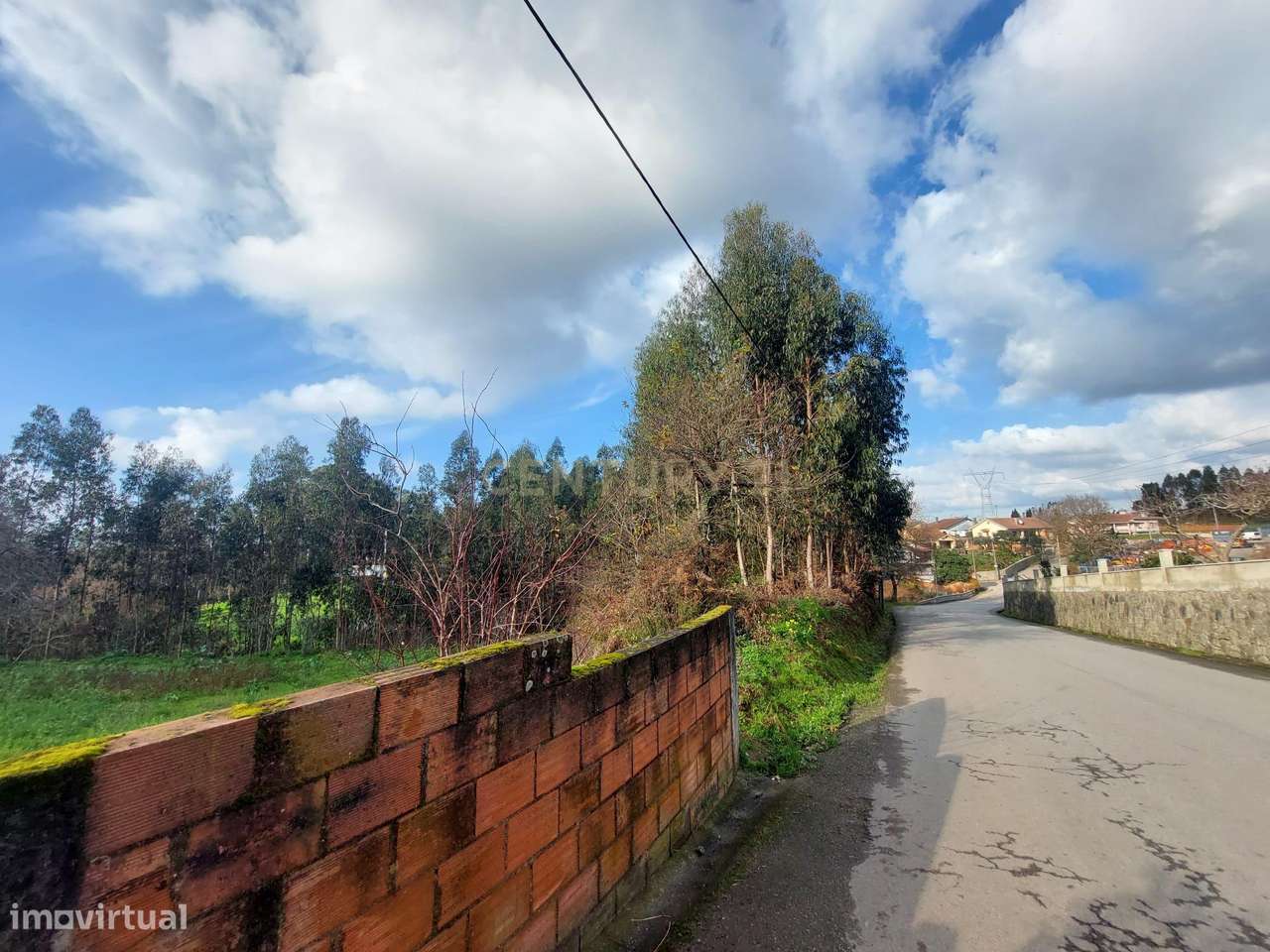 Terreno Urbanizável em Cristelo - Branca (Albergaria-a-Velha) - Grande imagem: 3/12