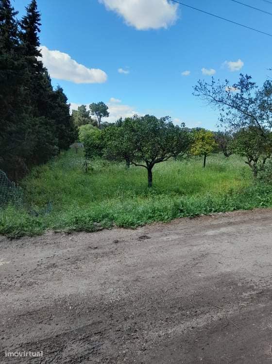 Azeitão Terreno urbano 1700 m2 para 2 Moradias