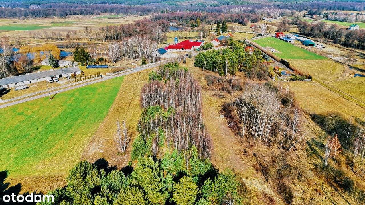 Dwie działki pod zabudowę całoroczną/ letniskową w cenie jednej - Pełny obrazek: 4/16