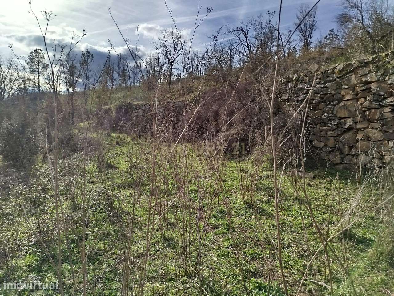 Linda Quinta com tesouro da Era Romana - Grande imagem: 4/17