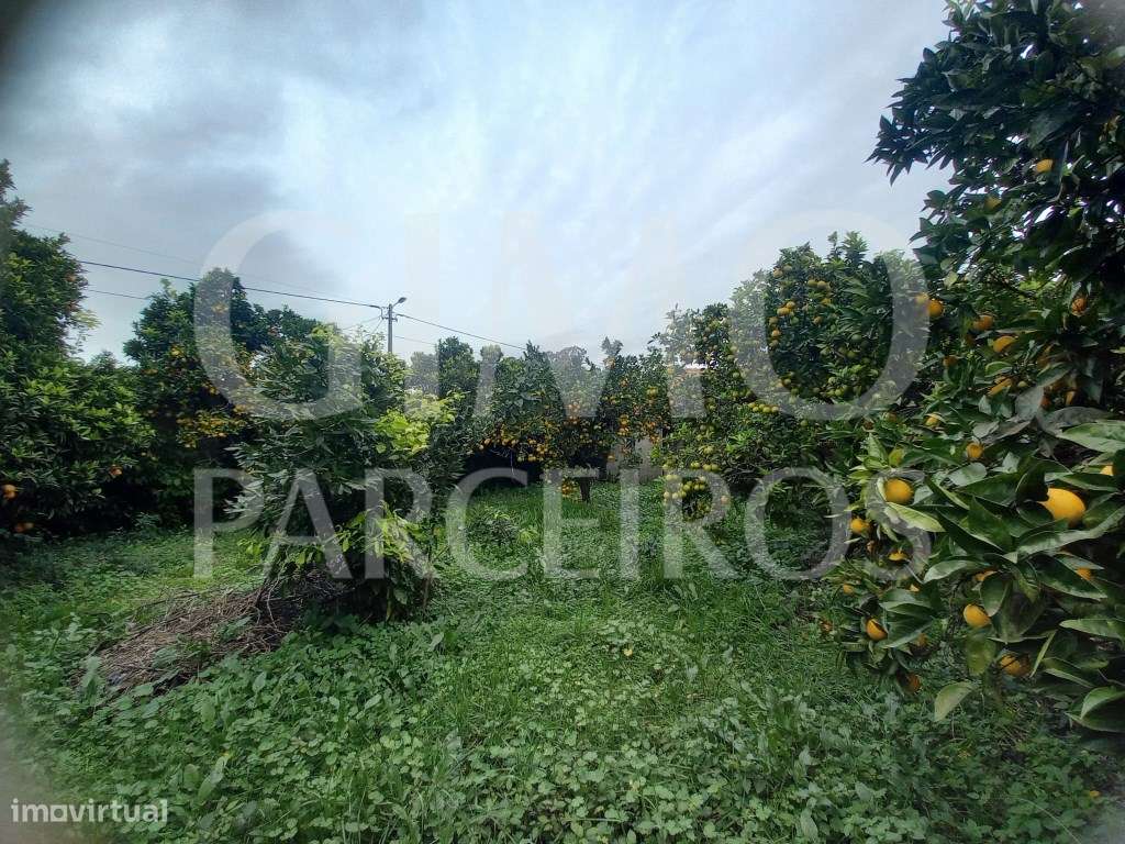 Moradia para reabilitar-17