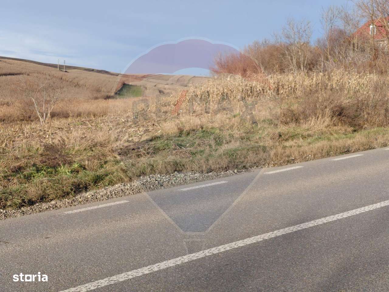 Teren extravilan 800 mp com. Secuieni, jud. Bacău - Imagine principală: 4/5