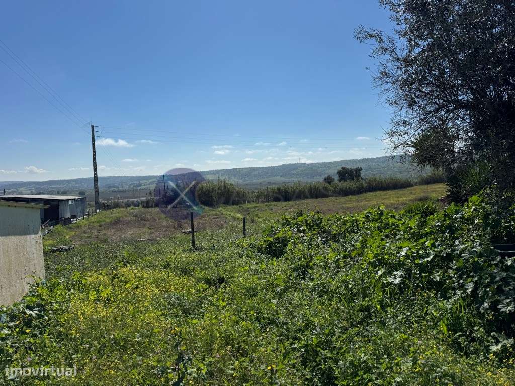 Monte Alentejano de 3,9 Hectares na região de Cabeção / Mora - Priv...-36