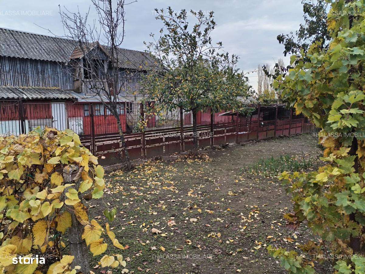 Casa si gospodarie Segarcea-1