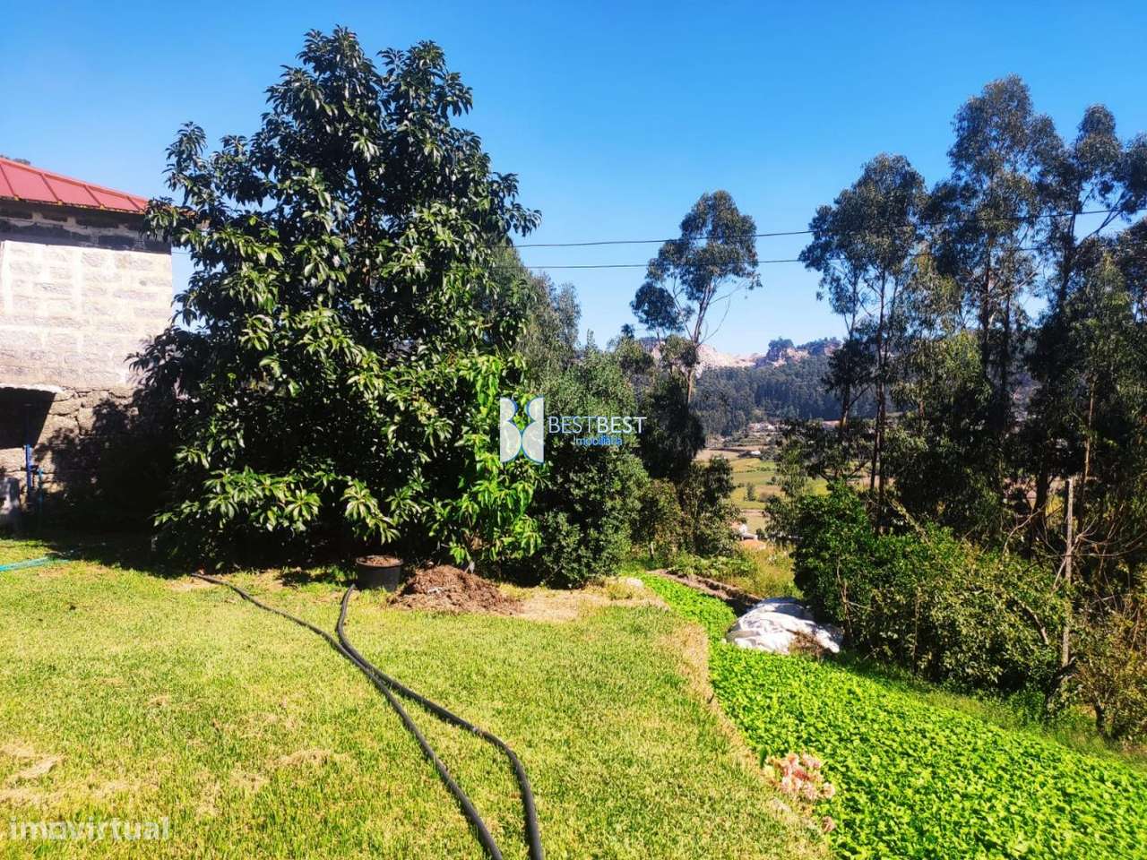 MORADIA INDEPENDENTE,REABILITAÇÃO, TERRENO 2.900M2, TELHADO,15MIN.FA-3