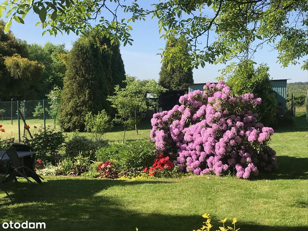 Dom wolnostojący z dużą działką w spokojnej okolicy - Pełny obrazek: 4/18