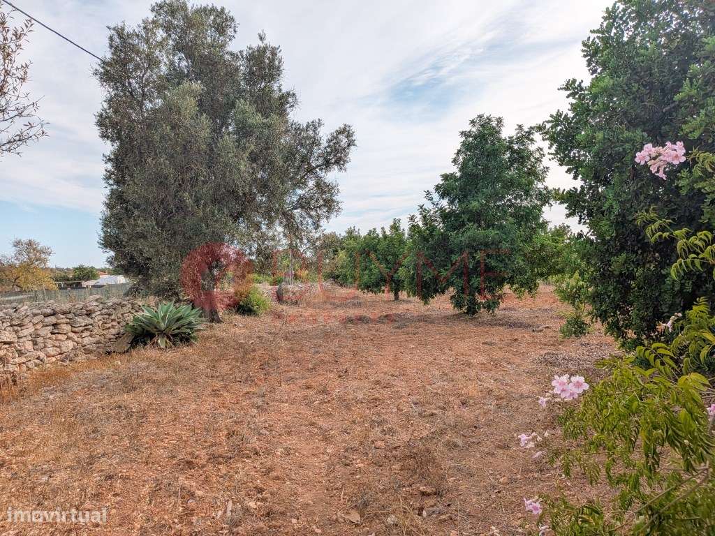 Moradia Rústica T6 com 5 Hectares em Tunes, Silves-53