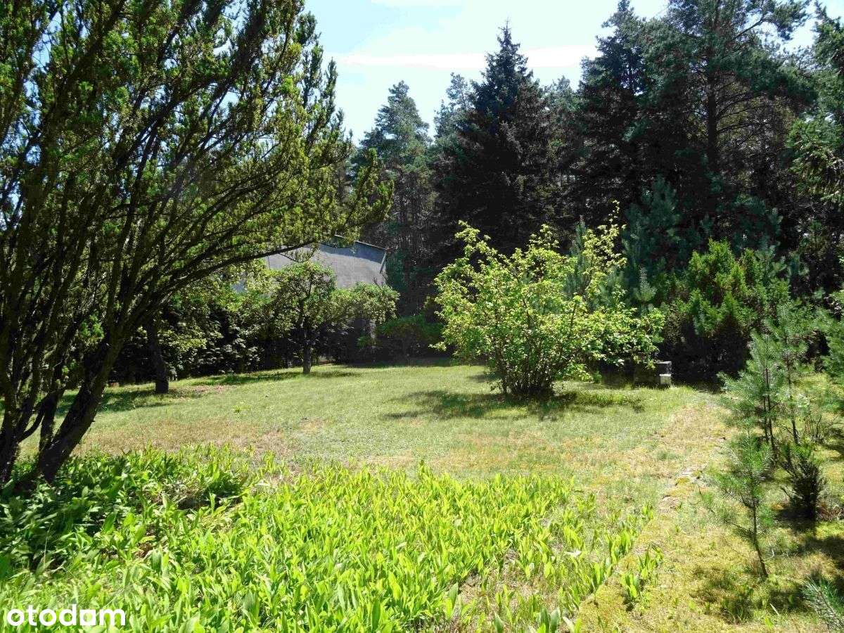 Okazja! Działka w pobliżu jeziora-6