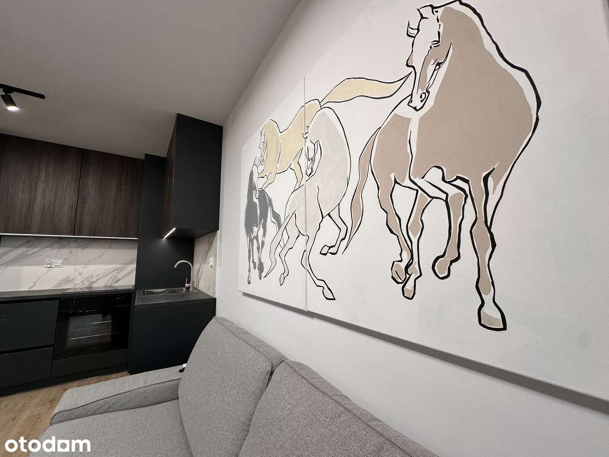 Wynajem mieszkania od właściciela ul. Papierni Prądnickich 71 - Pełny obrazek: 5/20