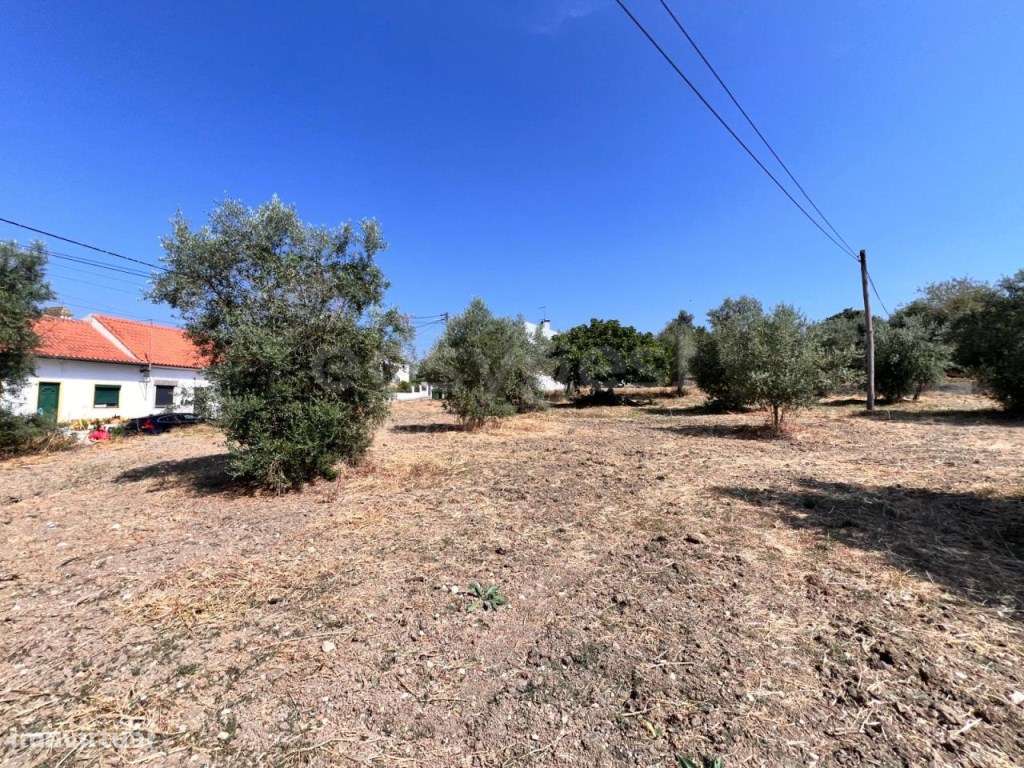 Terreno com possibilidade de construção perto do Entroncamento - Grande imagem: 2/10