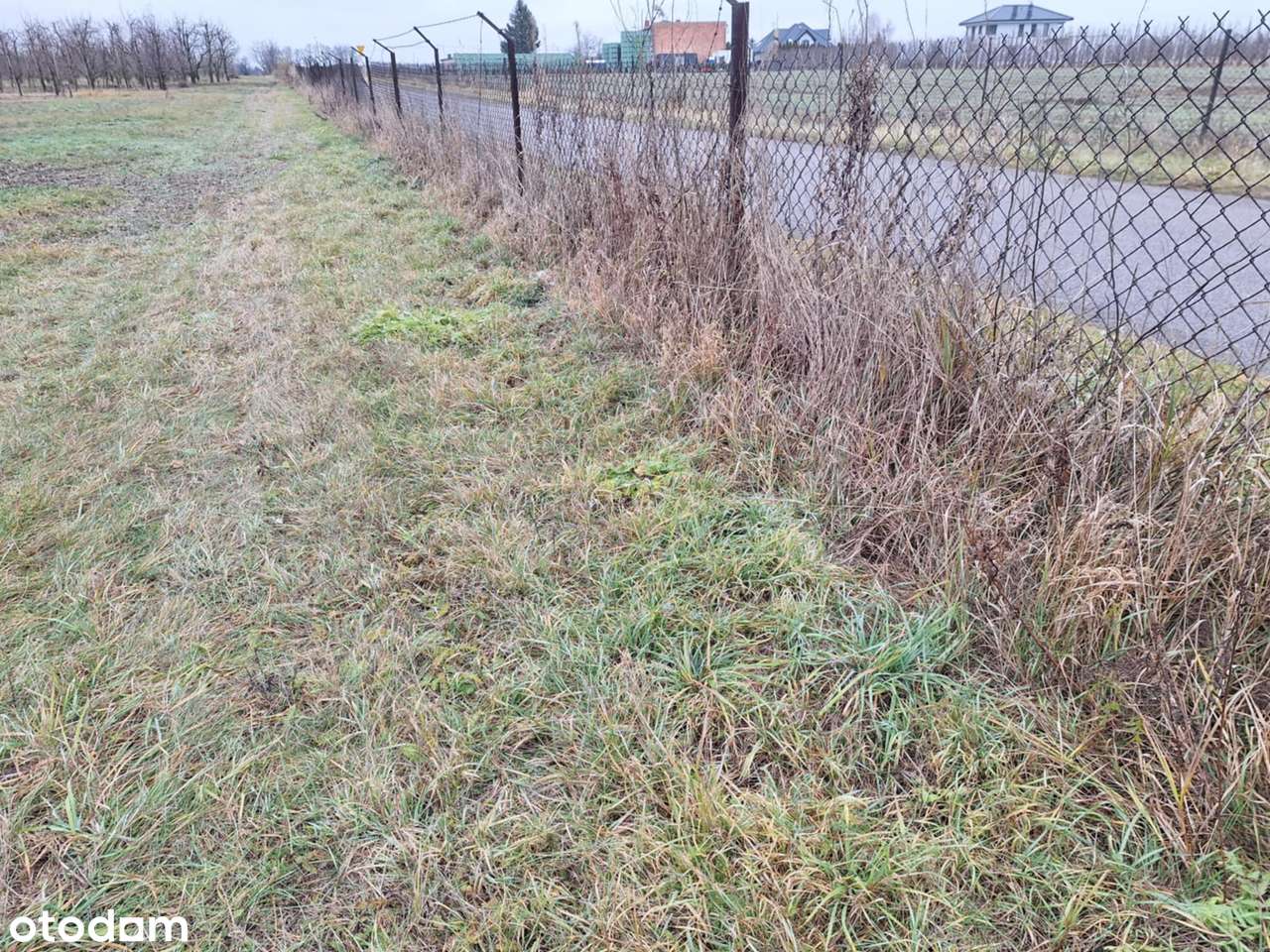 Sprzedam działkę budowlaną, okolice Grójca 05-604 - Pełny obrazek: 4/4