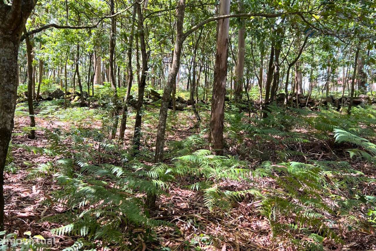Terreno Rústico com 1430m2 em Lamoso, Paços de Ferreira - Grande imagem: 4/11