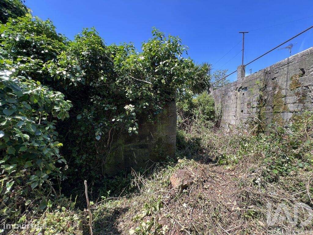 Casa / Villa em São Miguel, Santa Eufémia e Rabaçal de 144,00 m2 - Grande imagem: 5/28