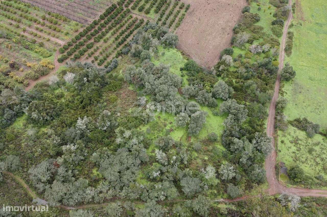 Terreno Rústico com 2.600m2 em Ladeira da Cumeada, Messines - Grande imagem: 2/15