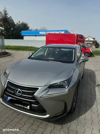 Lexus NX 300h Prestige AWD - 7