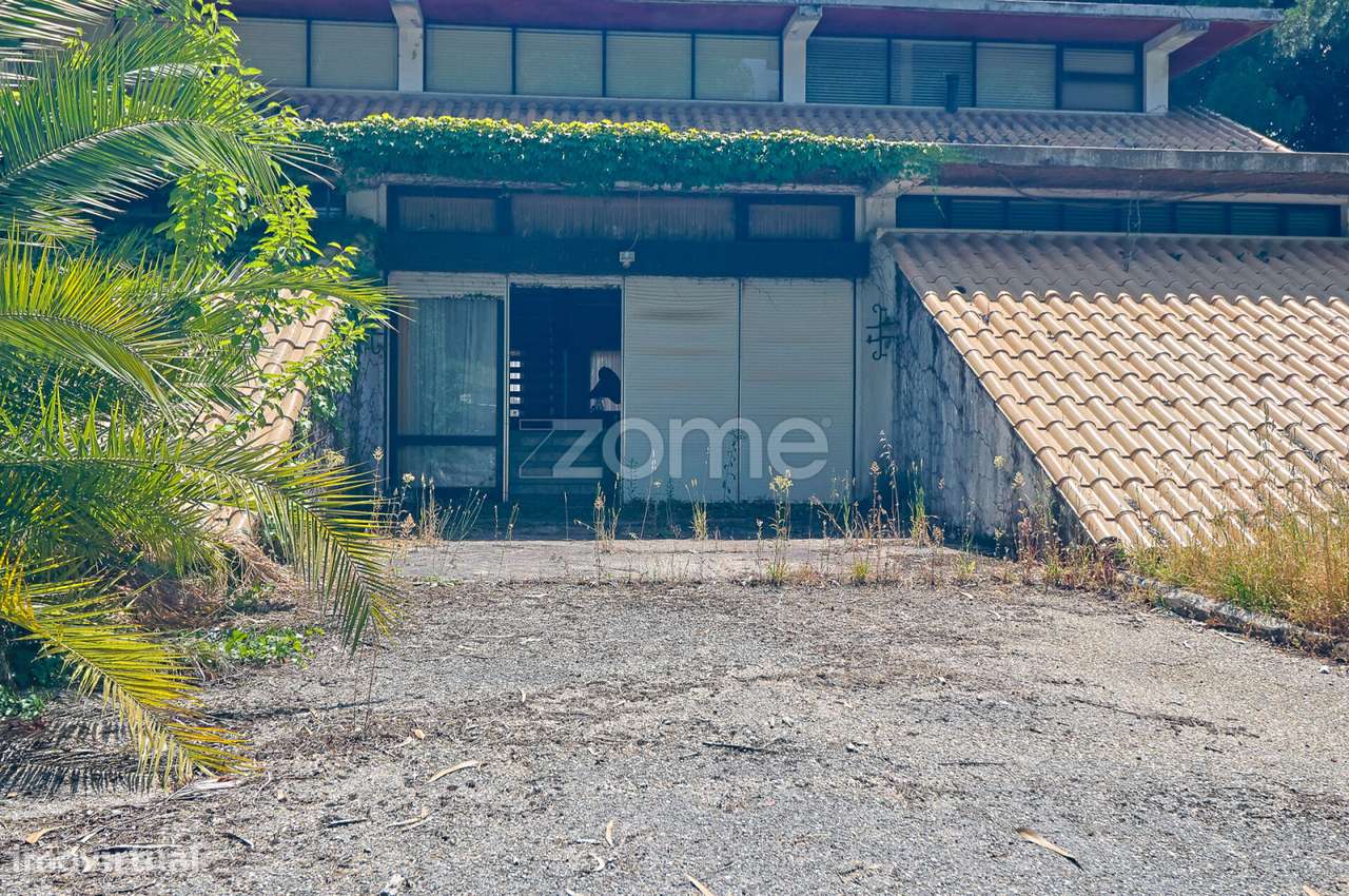 Quinta T4 + T3 I Terreno I Figueiró dos Vinhos - Grande imagem: 5/56