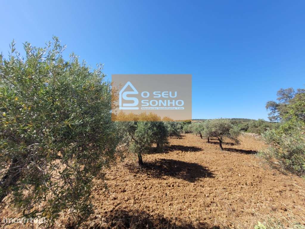 Terreno Rústico - 1.200 M² - Grande imagem: 4/10